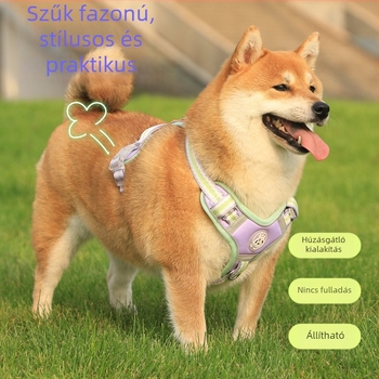 Nyári légáteresztő hálós kutyahám és póráz huskyk számára, anti-elszökés, fényvisszaverő, közepes testű kutyáknak