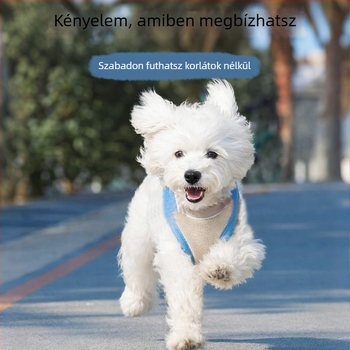 Dopamine kutyanyakörv, koreai stílusú kölyökkutya hám és póráz, szakadásálló