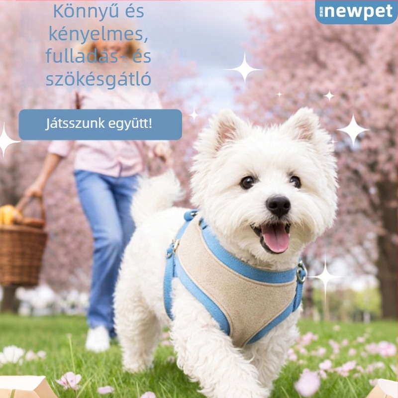 Dopamine kutyanyakörv, koreai stílusú kölyökkutya hám és póráz, szakadásálló