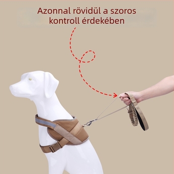 Kutyák számára elasztikus taktikai póráz autóhoz és szabadtéri használatra – biztonságos edzéshez és sétához