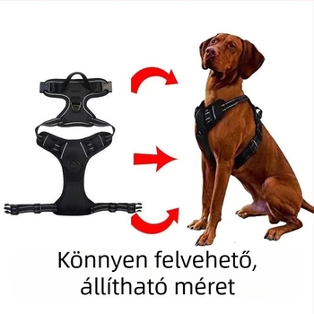 I alakú kutyahám kinyúló pórázzal