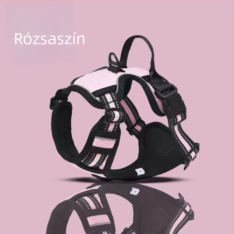 I alakú kutyahám kinyúló pórázzal