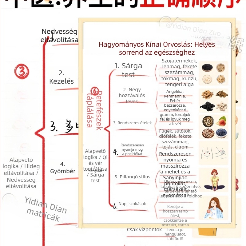 12 wellness matrica a Hagyományos Kínai Orvosláshoz — vízálló jegyzetfüzet matricákkal