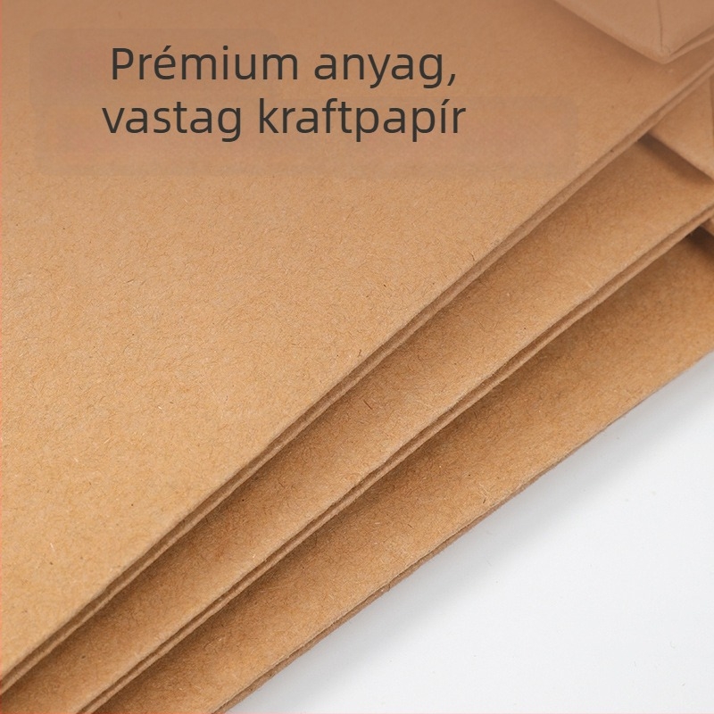 Deli 8383 sor Kraft papír archiv taska, A4 méret, 250 g, vegyes rostú dokumentumok, ajánlattételi taska