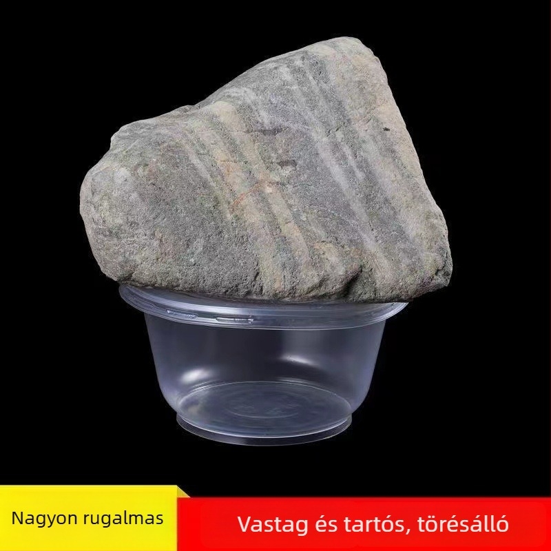 Egyszer használatos műanyag tál és evőpálcikák készlet, élelmiszer-minőségű, vastagodott kivitel, háztartási használatra, fedéllel, hőálló, esküvők és költözések alkalmára