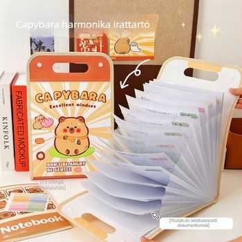 Capybara akordeon mappa dokumentumokhoz, nagy kapacitású, hordozható diákok számára