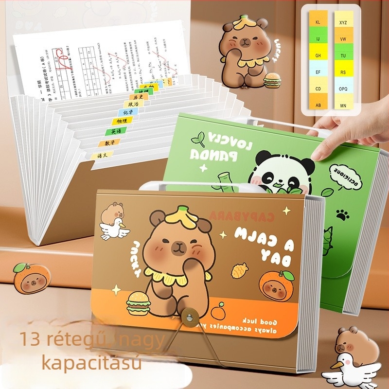 A4-es akordion mappa kapibara illusztrációval, 13 rekesz, nagy kapacitású, diákoknak