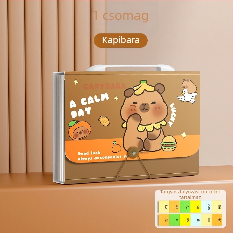 A4-es akordion mappa kapibara illusztrációval, 13 rekesz, nagy kapacitású, diákoknak