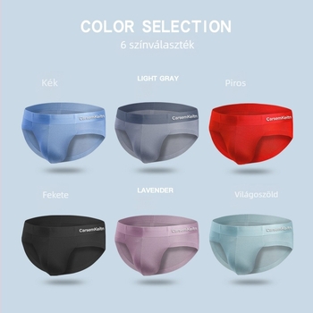 Férfi brief Ice Silk modálból, vékony és lélegző, nyárra