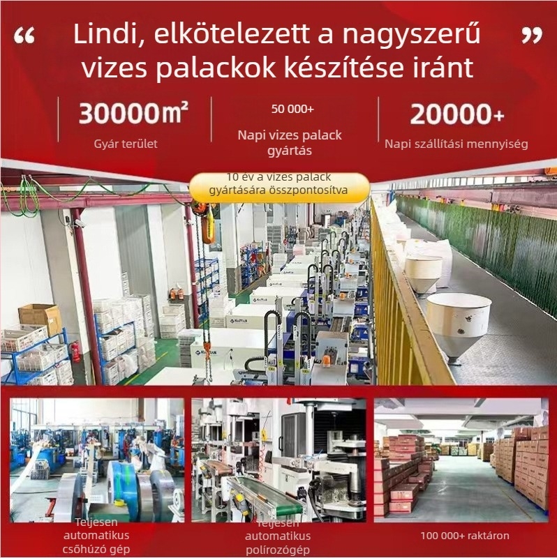 Új hordozható vákuumos termosz, 316 rozsdamentes acél külső, 304 belső, 650 ml, szívószállal