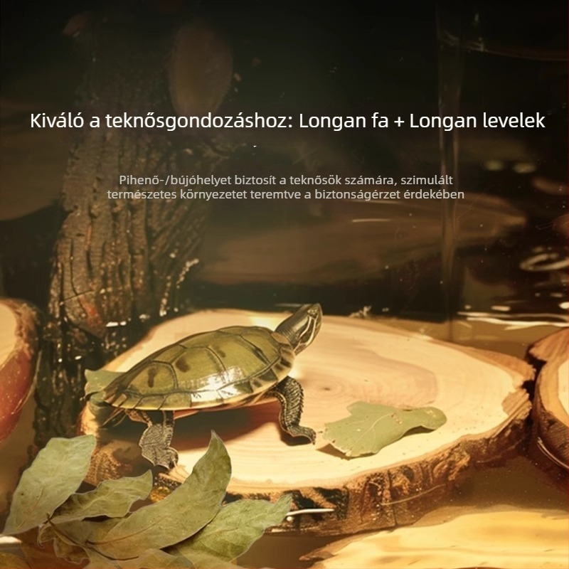 Természetes Longanfa teknősökhöz — napozó platforma és driftwood dekoráció az akváriumhoz