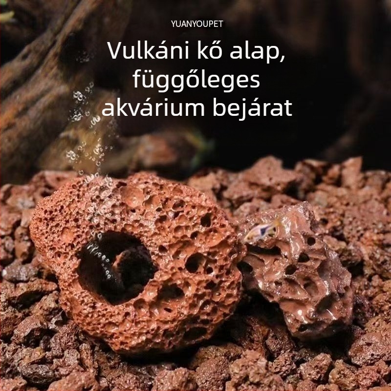 Vulkánkő gyűrű a víz alatti növényekhez, perforált ültető gyűrű rögzítő alappal, süllyedő gyűrű akváriumhoz