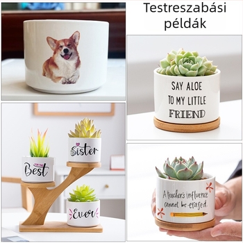 Fehér porcelán szukkulens cserép, kerámia, modern otthoni kertészkedéshez – minimalist dizájn