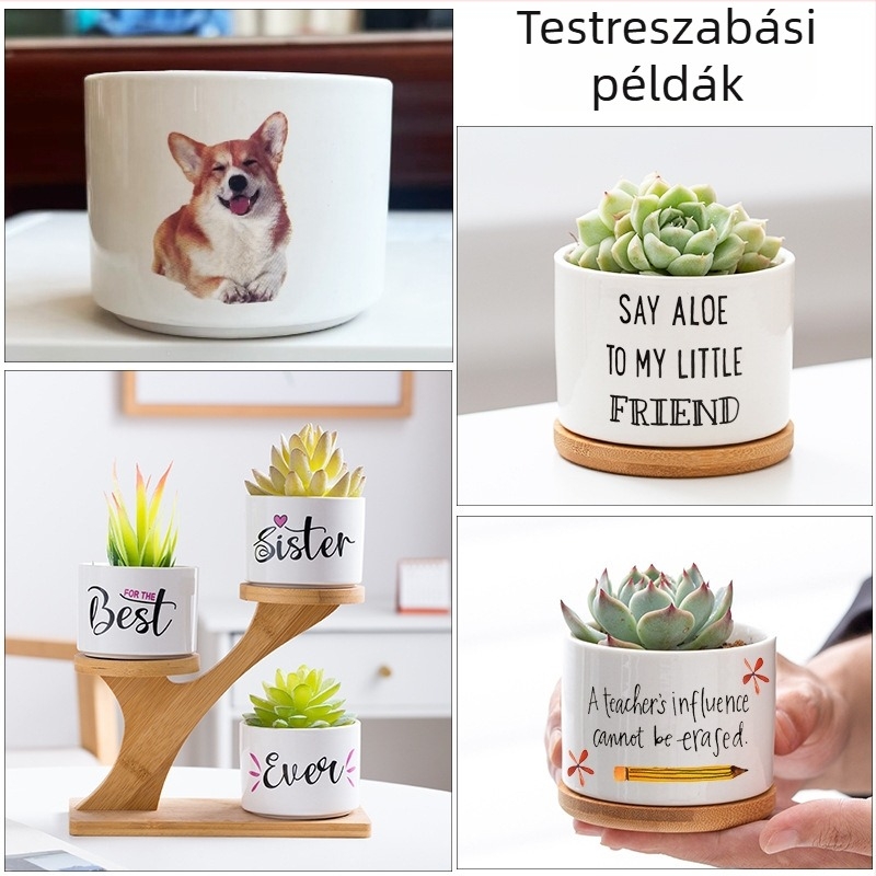 Fehér porcelán szukkulens cserép, kerámia, modern otthoni kertészkedéshez – minimalist dizájn