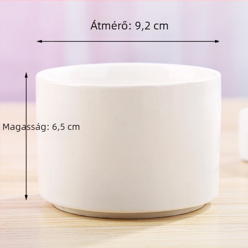 Fehér porcelán szukkulens cserép, kerámia, modern otthoni kertészkedéshez – minimalist dizájn