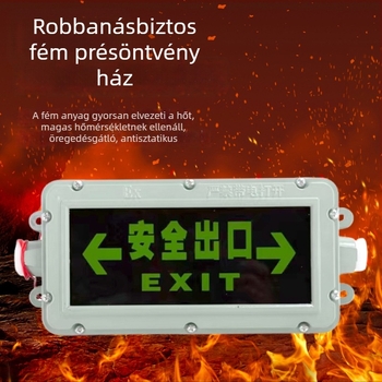 Robbanásbiztos LED kijelző jelzőfény folyosóra, IP65, 220V