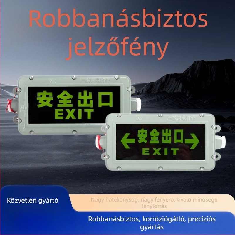 Robbanásbiztos LED kijelző jelzőfény folyosóra, IP65, 220V
