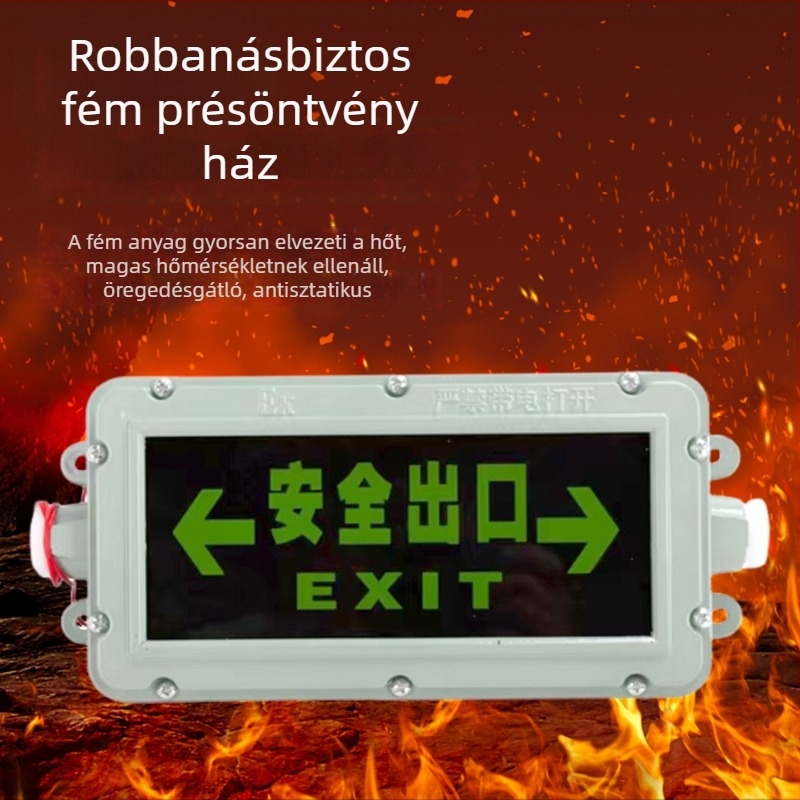 Robbanásbiztos LED kijelző jelzőfény folyosóra, IP65, 220V