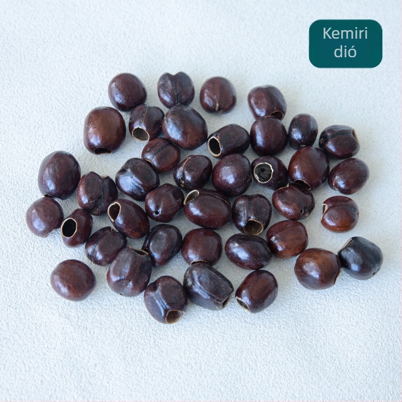 DIY kagylókkal készült harangszerelés – kézzel készített harang, vízhangú hangzás, autóba szerelhető dísz