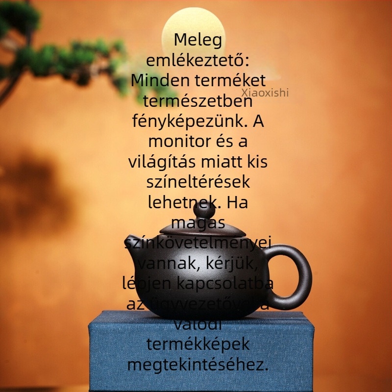 Kis kapacitású Yixing lila agyag teáskanna otthoni használatra, Gongfu teáskészlet