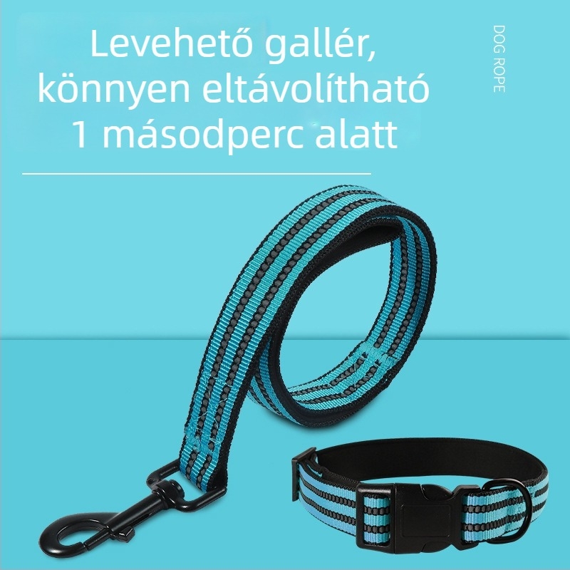 Nylonból készült kutyapóráz és nyakörv készlet, kettős rétegű, több színű fényvisszaverő kötéllel