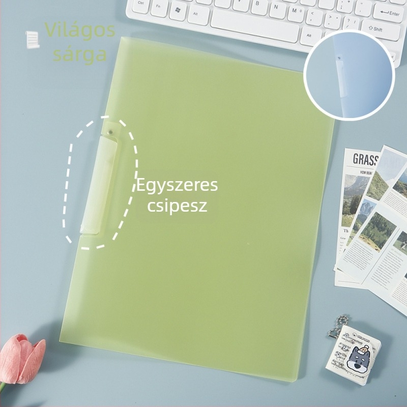A4-es mappa színes betétekkel és szervezővel