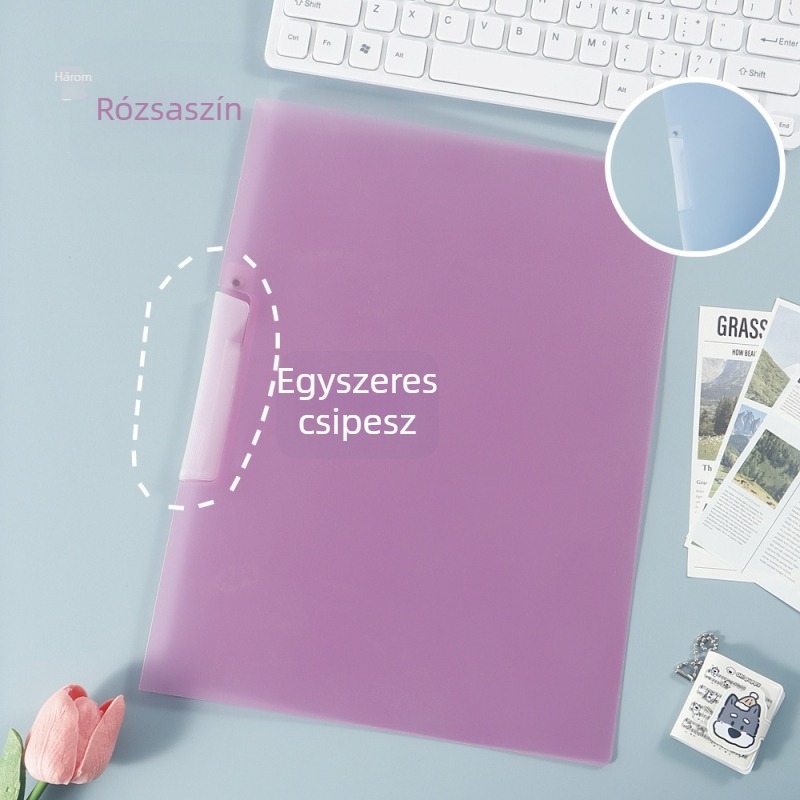 A4-es mappa színes betétekkel és szervezővel