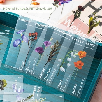 PET Átlátszó könyvjelző – Természetes növények sorozat, Szárított margaréta, Művészi dizájn, DIY