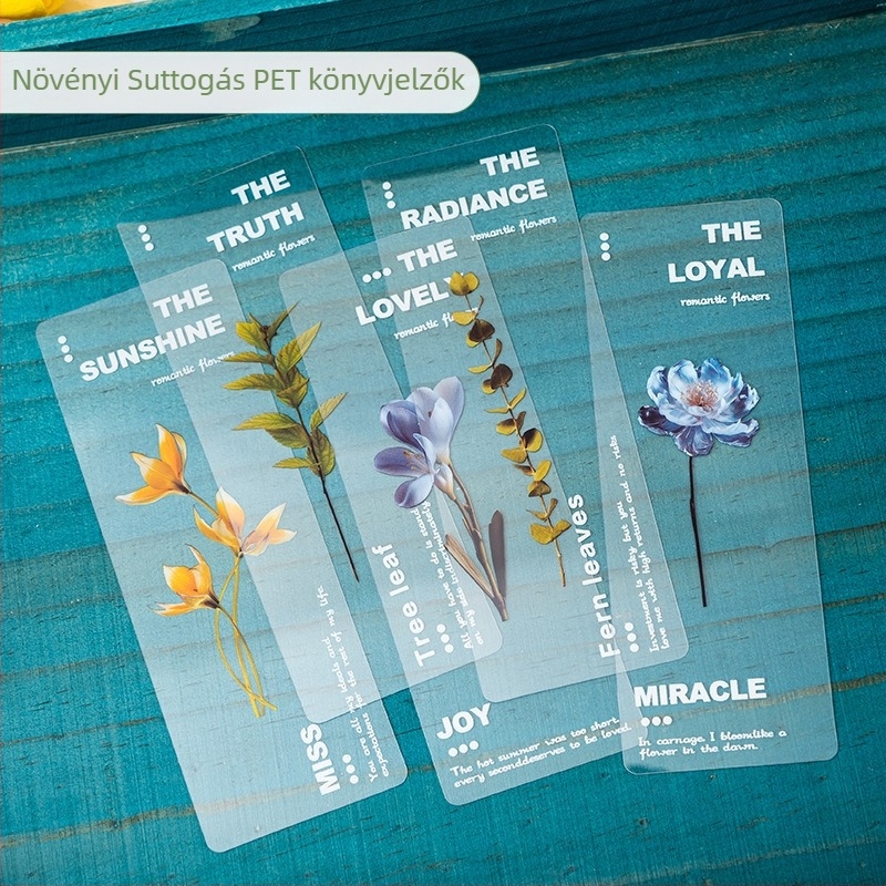 PET Átlátszó könyvjelző – Természetes növények sorozat, Szárított margaréta, Művészi dizájn, DIY