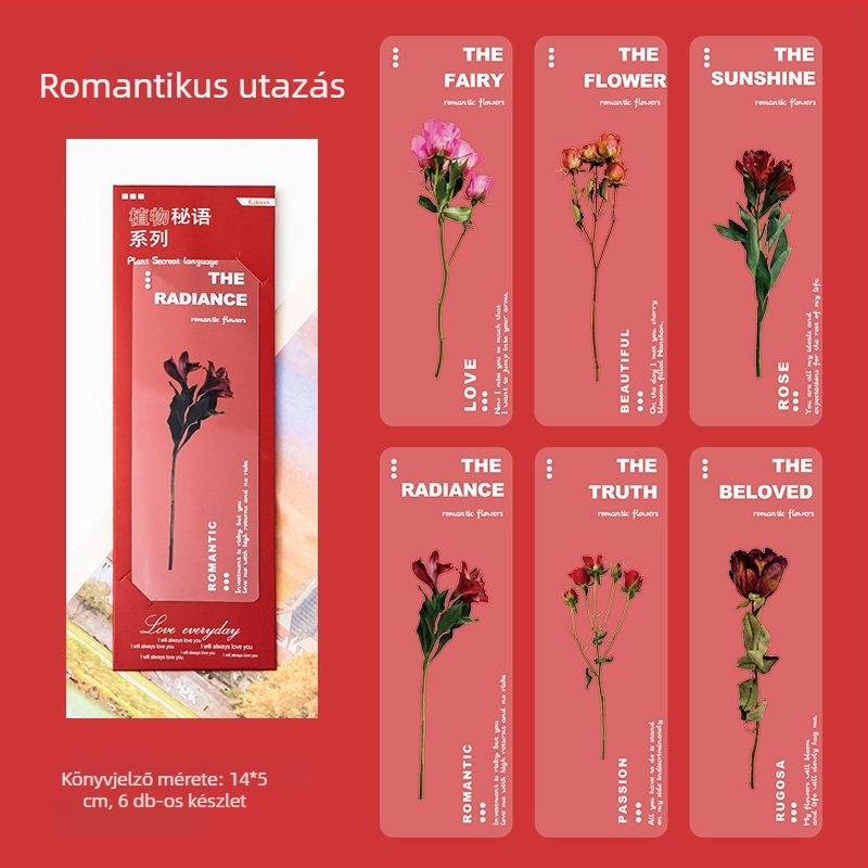 PET Átlátszó könyvjelző – Természetes növények sorozat, Szárított margaréta, Művészi dizájn, DIY