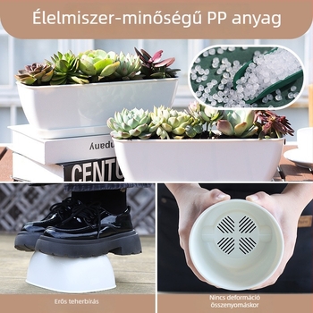 Minimalista műanyag szukkulens virágtartó növekedési gyűrű dizájnnal, tartós otthoni és irodai használatra