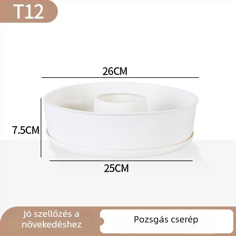 Minimalista műanyag szukkulens virágtartó növekedési gyűrű dizájnnal, tartós otthoni és irodai használatra