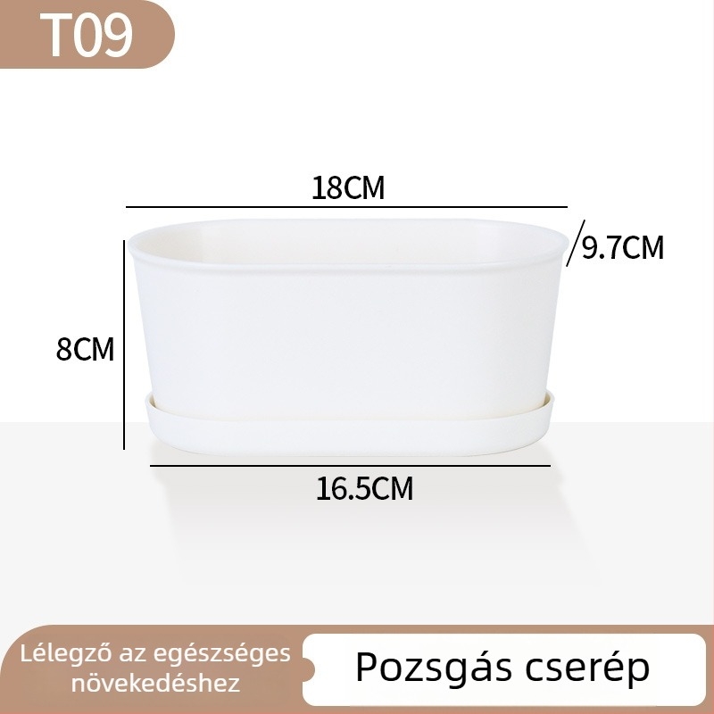 Minimalista műanyag szukkulens virágtartó növekedési gyűrű dizájnnal, tartós otthoni és irodai használatra