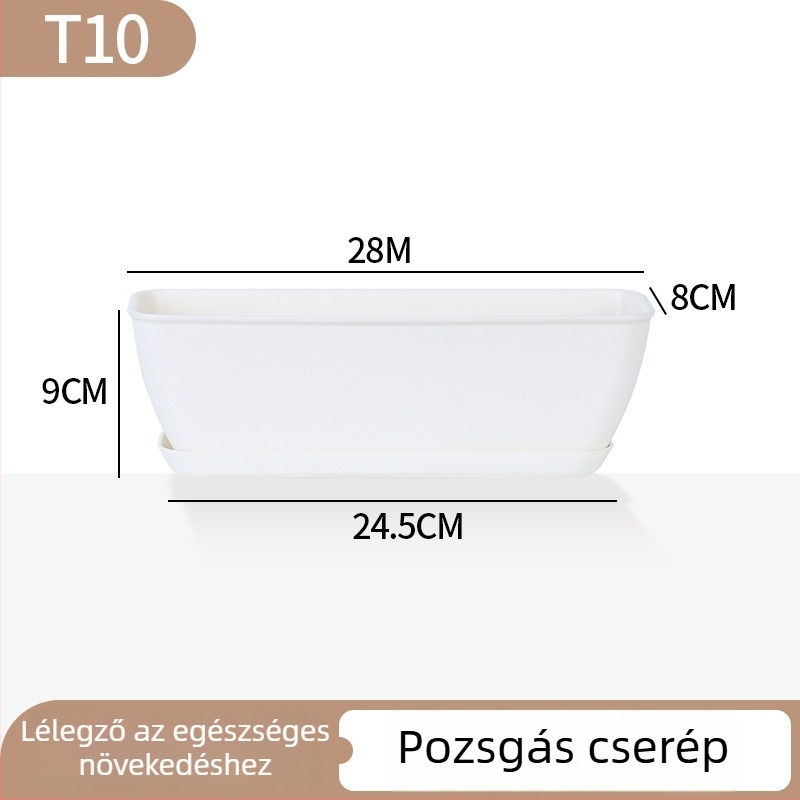 Minimalista műanyag szukkulens virágtartó növekedési gyűrű dizájnnal, tartós otthoni és irodai használatra