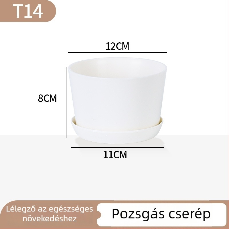 Minimalista műanyag szukkulens virágtartó növekedési gyűrű dizájnnal, tartós otthoni és irodai használatra