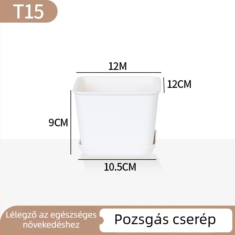 Minimalista műanyag szukkulens virágtartó növekedési gyűrű dizájnnal, tartós otthoni és irodai használatra