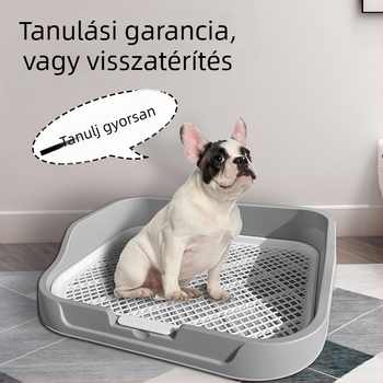 Kis méretű kutyáknak tervezett kutyatoalett, Bichon Frise, vizelet-tál és ürüléktál