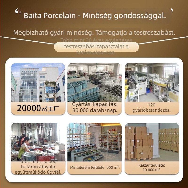 Otthoni használatra szánt kerámia étkészlet alglazúros mintával, elegáns reggelis és uzsonnás tányérok, könnyen tárolható, csonttál