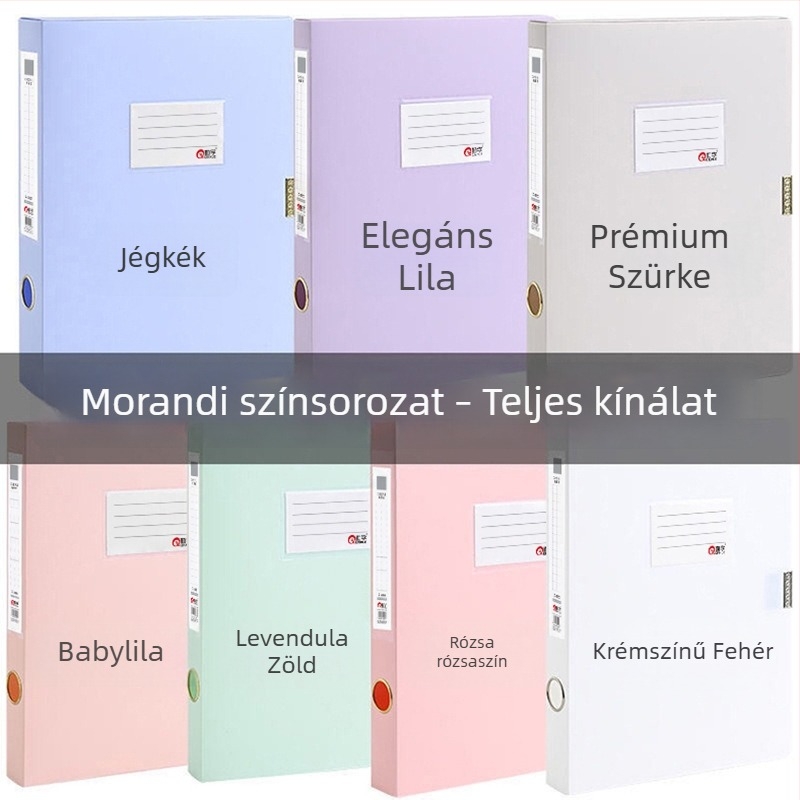 Morandi hajtogatható dokumentum-doboz, műanyag, A4 méretű