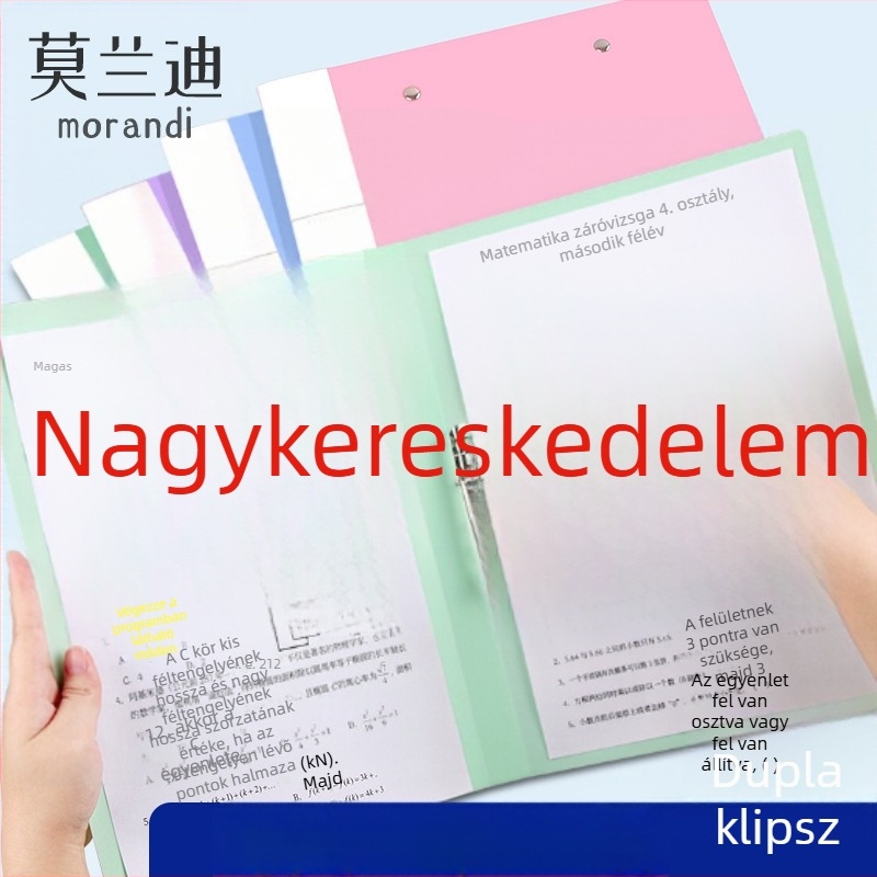 Műanyag A4-es dokumentumtároló hosszú csíptetővel és dupla csíptetővel, diákok számára, dokumentumok rendezéséhez, formátum A4/A3.