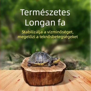 Otthoni teknő akvárium ökológiai vízinövényekkel és dekoratív tájjal kis teknősök számára
