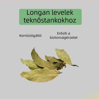 Otthoni teknő akvárium ökológiai vízinövényekkel és dekoratív tájjal kis teknősök számára