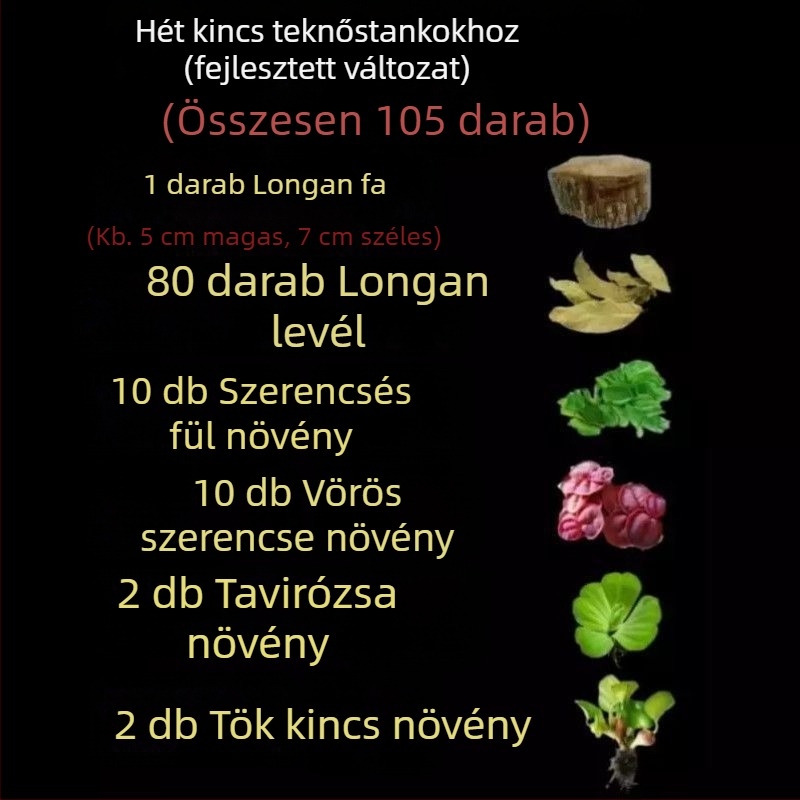 Otthoni teknő akvárium ökológiai vízinövényekkel és dekoratív tájjal kis teknősök számára