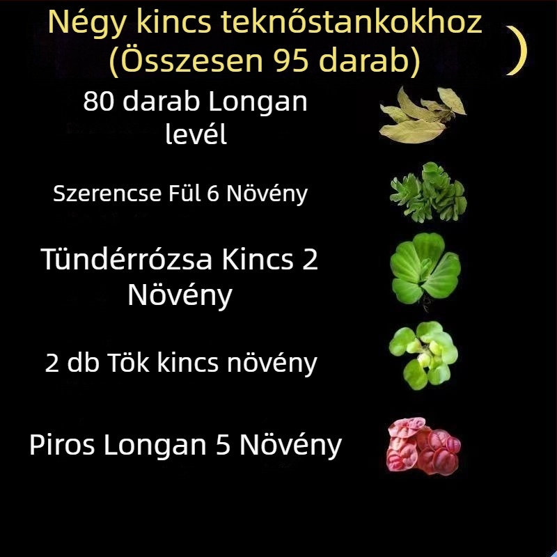 Otthoni teknő akvárium ökológiai vízinövényekkel és dekoratív tájjal kis teknősök számára