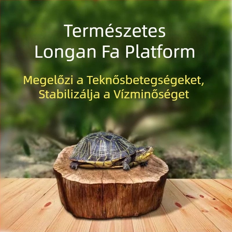 Otthoni teknő akvárium ökológiai vízinövényekkel és dekoratív tájjal kis teknősök számára