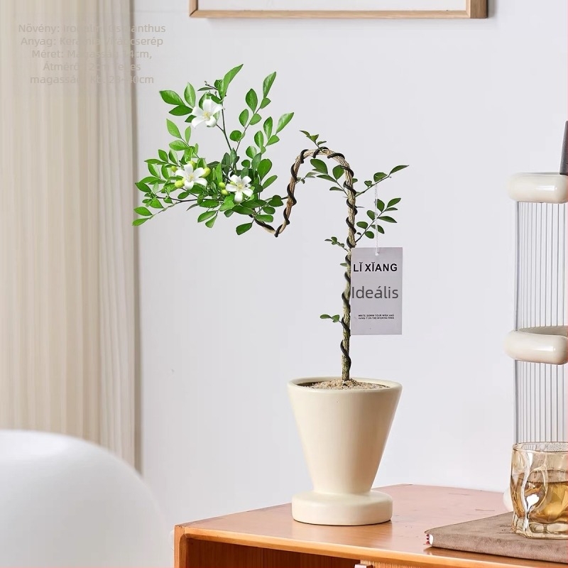 Kerámia virágtartó Phalaenopsis orchideához, nordikus stílusban, asztali vagy otthoni használatra, masszív és deformációmentes