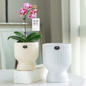 Kerámia virágtartó skandináv minimalist dizájnnal, otthonra és irodába; alkalmas a pénzfa és Phalaenopsis orchideára; kreatív, személyre szabható virágtartó zöld növények számára