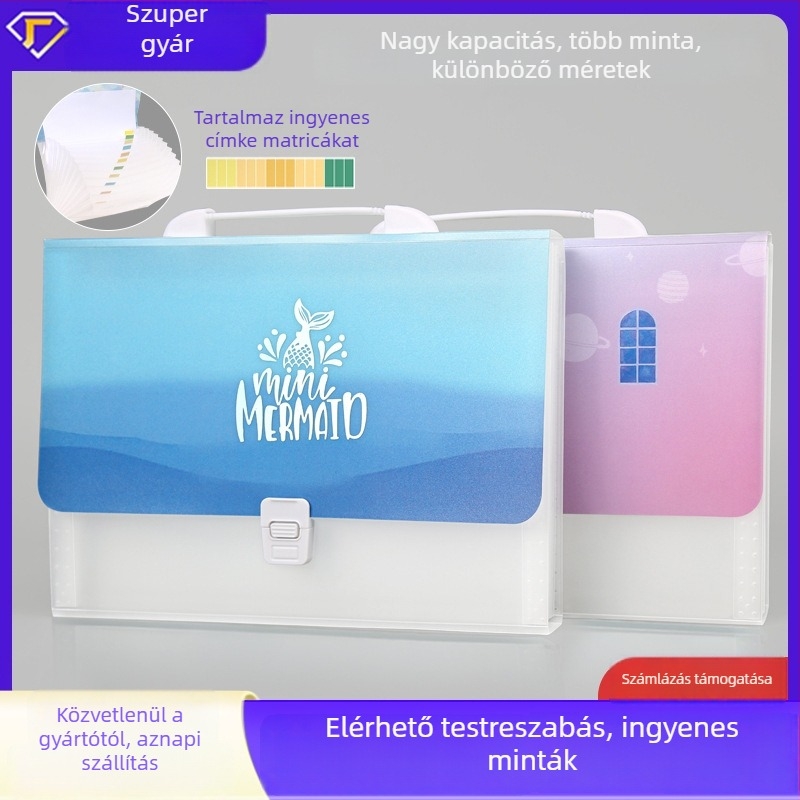 A4 akordeon típusú irattartó 13 rekesszel, fogantyúval és csattal, vízálló