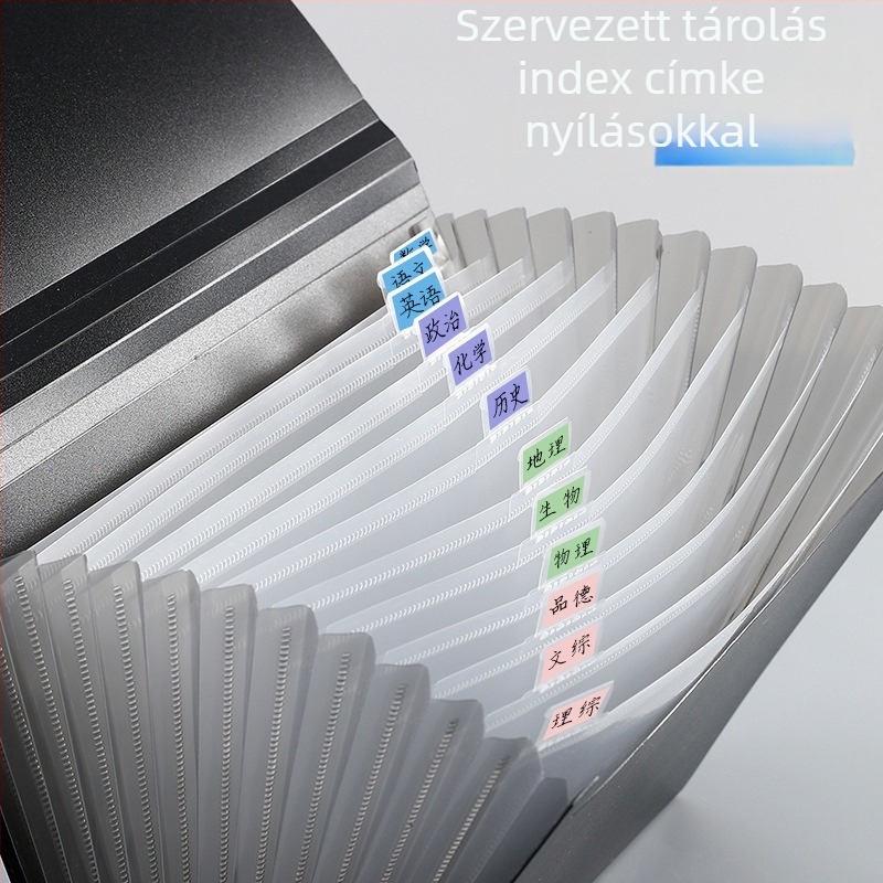 13 rekeszes A4-es akkordeon mappa, dokumentumok tárolására, vizsgadolgozatok és nyugta rendező