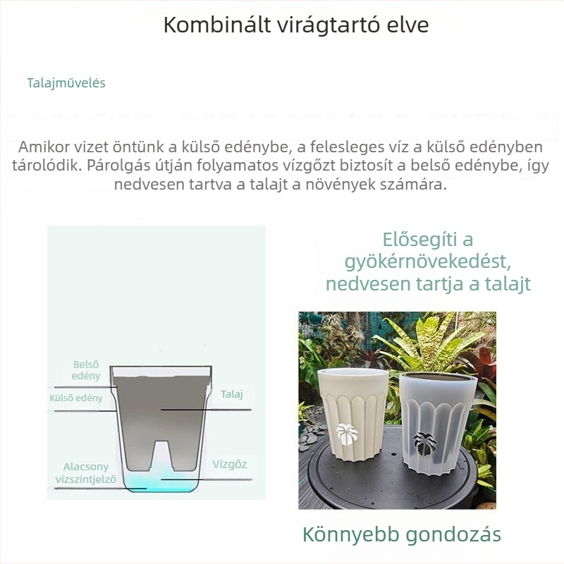 Fejlesztett megvastított levegőoszlopos orchidea cserép gyökérszabályozó készlettel, légáteresztő és vízáteresztő, Phalaenopsis számára